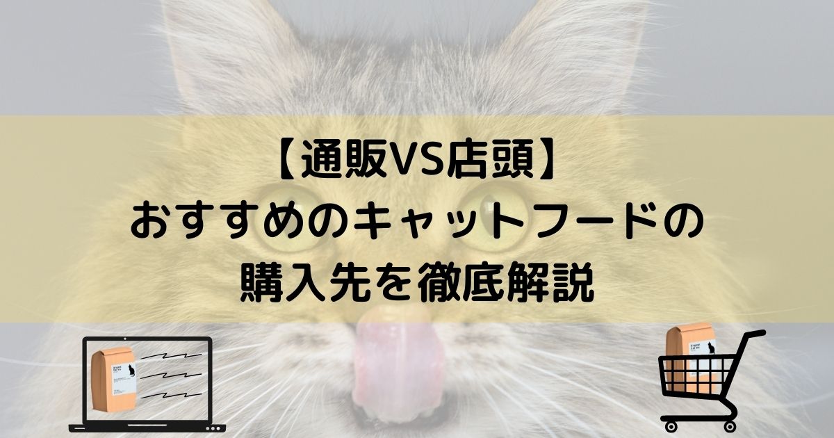 【通販VS店頭】おすすめのキャットフードの購入先を徹底解説